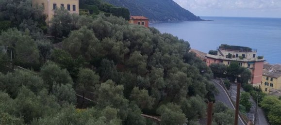 6-Zimmer Wohnung in Camogli, Italy, Nr. 287705 3