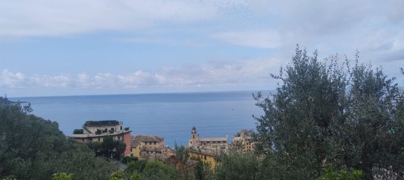 6-Zimmer Wohnung in Camogli, Italy, Nr. 287705 2
