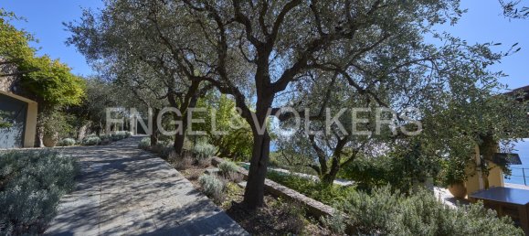 4 غرف نوم فيلا في Celle Ligure, Italy رقم 68798 23