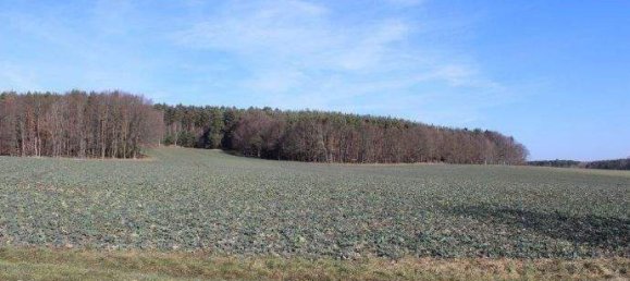 17-Zimmer Bauernhof in Saale-Orla, Germany, Nr. 345552 13