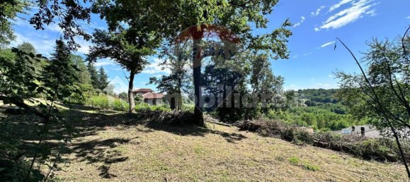 2400m² Land in Besozzo, Italy No. 55733 5