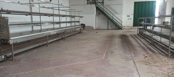 565m² Warehouse in Pachino, Italy No. 59426 12