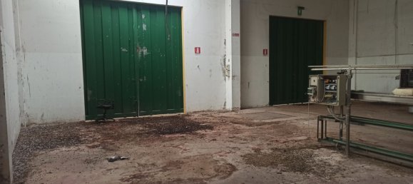 565m² Warehouse in Pachino, Italy No. 59426 11