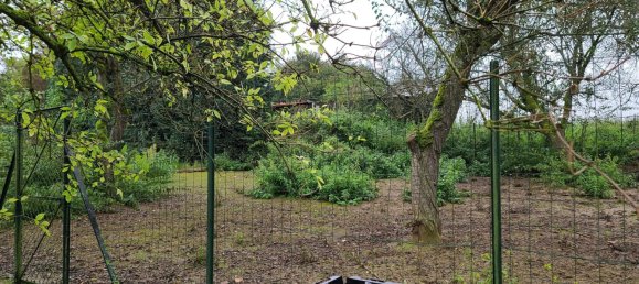 2 غرف نوم منزل في Margut, France رقم 228489 6