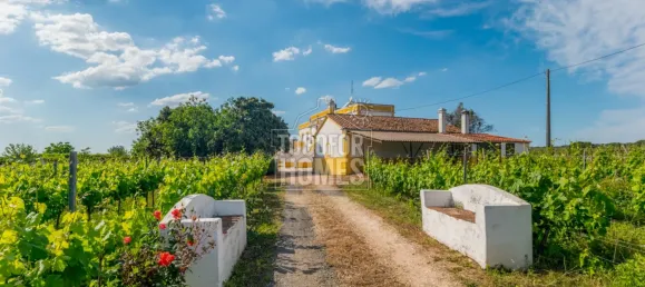 5 bedrooms Castles in Estremoz, Portugal No. 123870 20