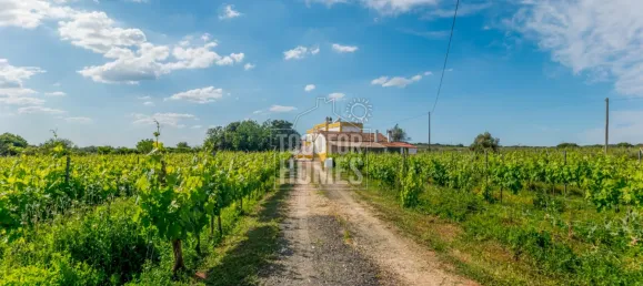 5 bedrooms Castles in Estremoz, Portugal No. 123870 19