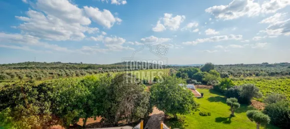 5 bedrooms Castles in Estremoz, Portugal No. 123870 18