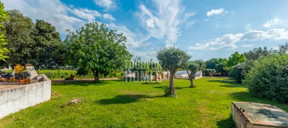 5 bedrooms Castles in Estremoz, Portugal No. 123870 8