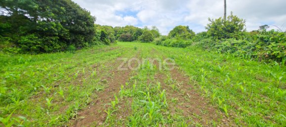 Grundstück in Sao Roque do Pico, Portugal 402m², Nr. 320579 23