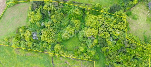 Grundstück in Sao Roque do Pico, Portugal 402m², Nr. 320579 33