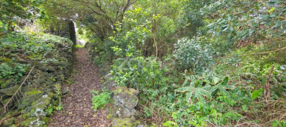 Grundstück in Sao Roque do Pico, Portugal 402m², Nr. 320579 26