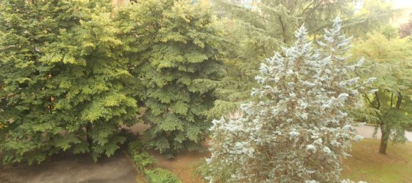 Квартира с 3 комнатами в Милан, Италия № 338133 13