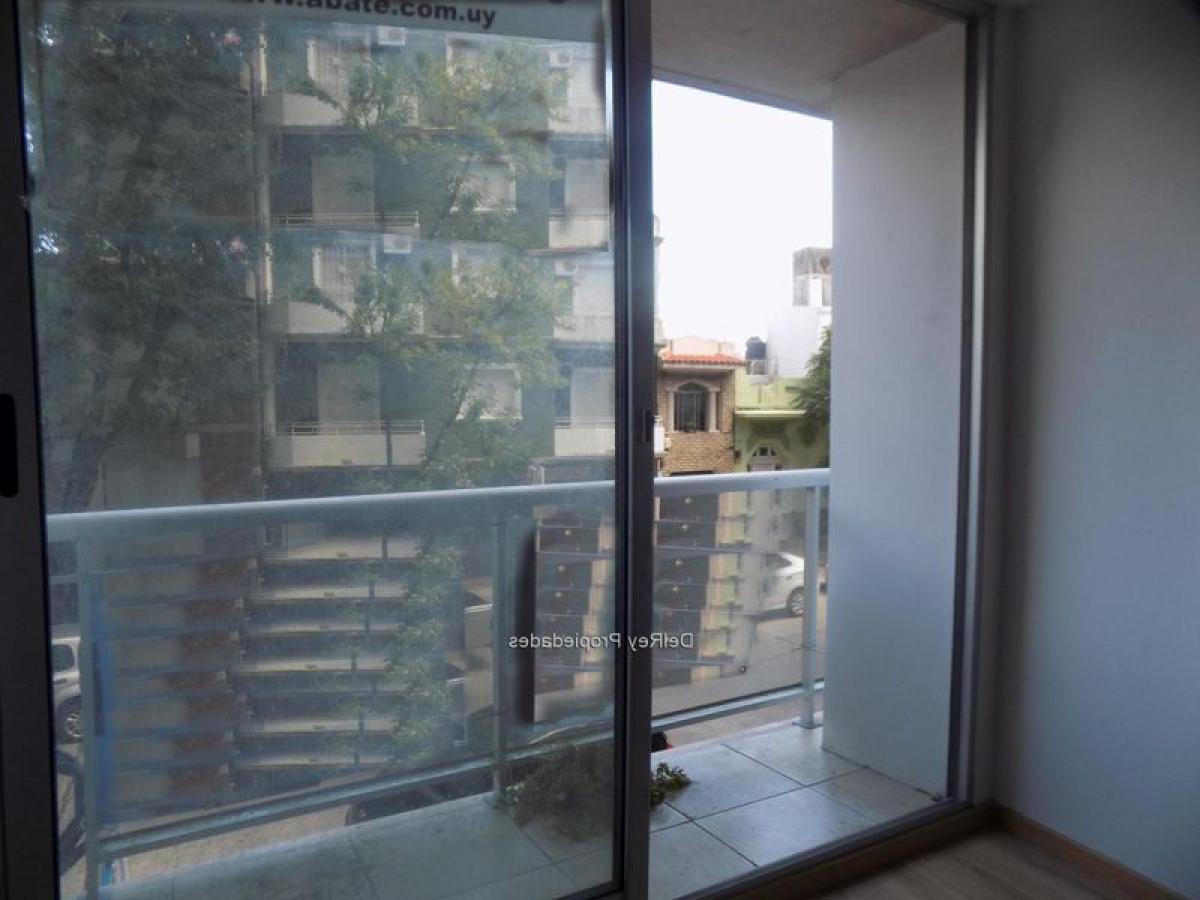 Estúdio em Montevideo, Uruguay N.º 4607