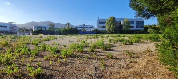 قطعة أرض في Sintra, Portugal 7085متر مربع رقم 184164 41