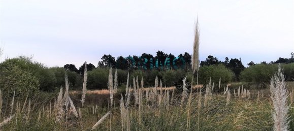 Terreno en Povoa de Varzim, Portugal 42740 m² No. 137356 6