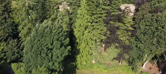 Terreno em Steinfurt, Germany N.º 345857 3