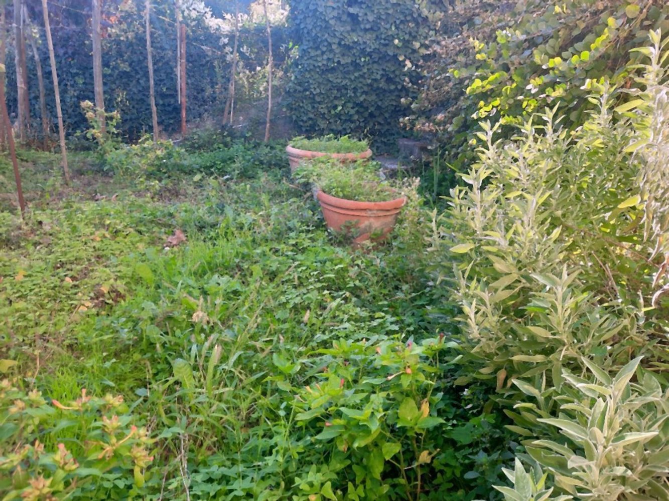 Edificio en Cavriglia, Italy 105 m² No. 123074