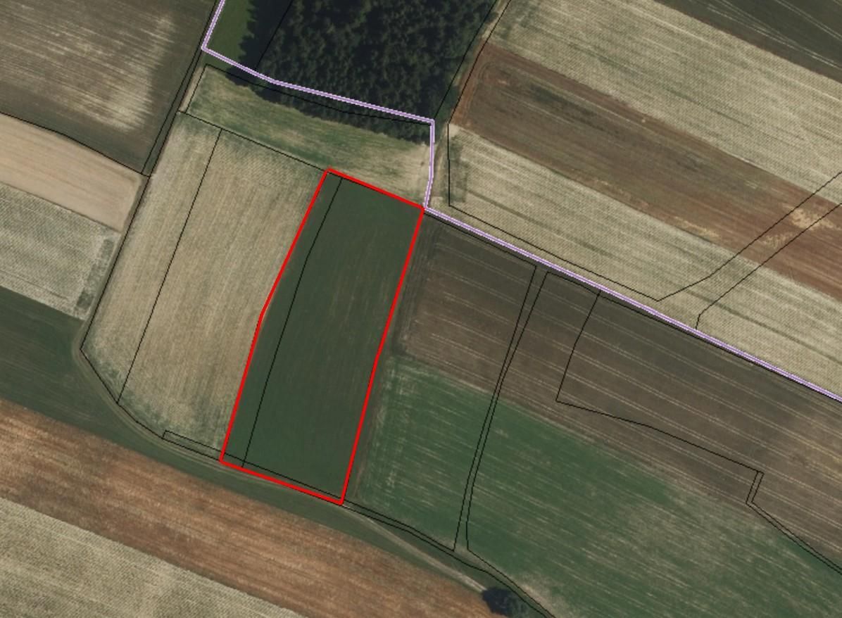 Коммерческая недвижимость в Оберндорф ан дер Мельк, Австрия № 231807