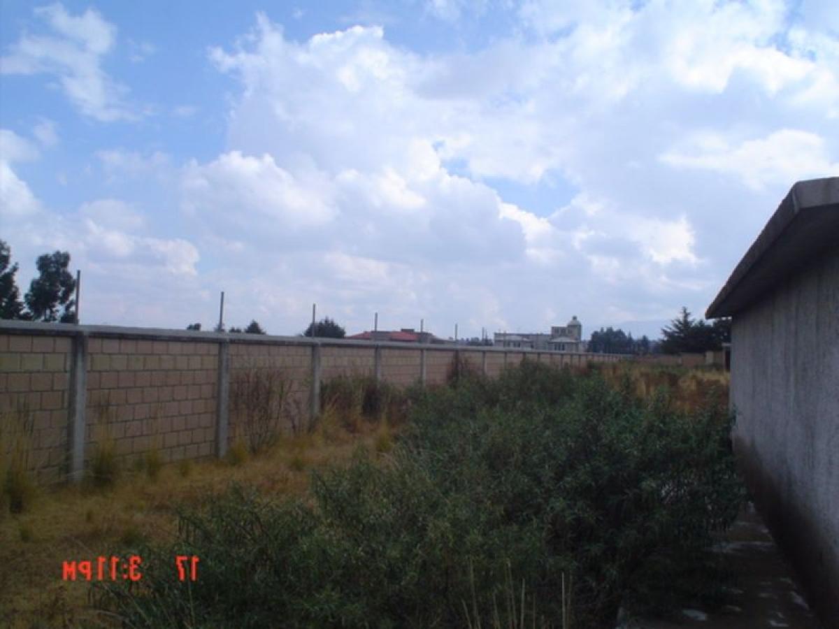  Land in San Buenaventura, Mexico No. 203679