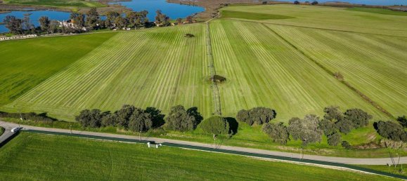 20 chambres Maison à Moita, Portugal No. 145796 17