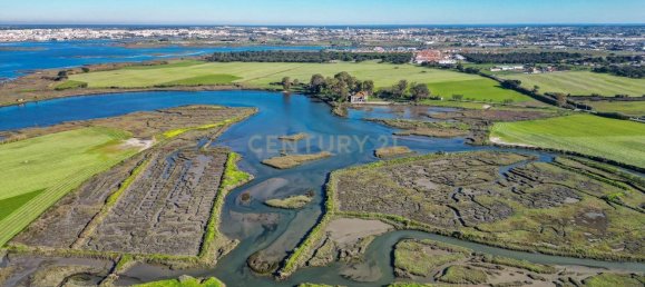 20 chambres Maison à Moita, Portugal No. 145796 23