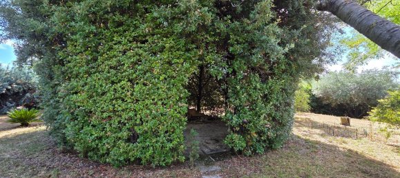 12 rooms House in Osimo, Italy No. 286260 3