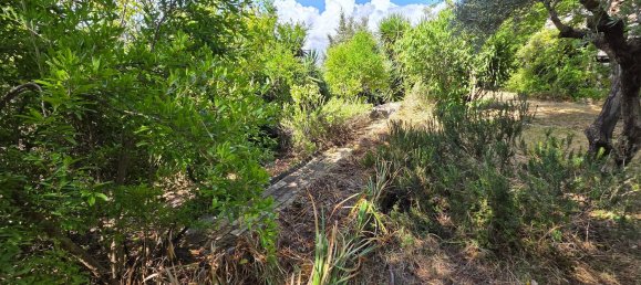 12 rooms House in Osimo, Italy No. 286260 18