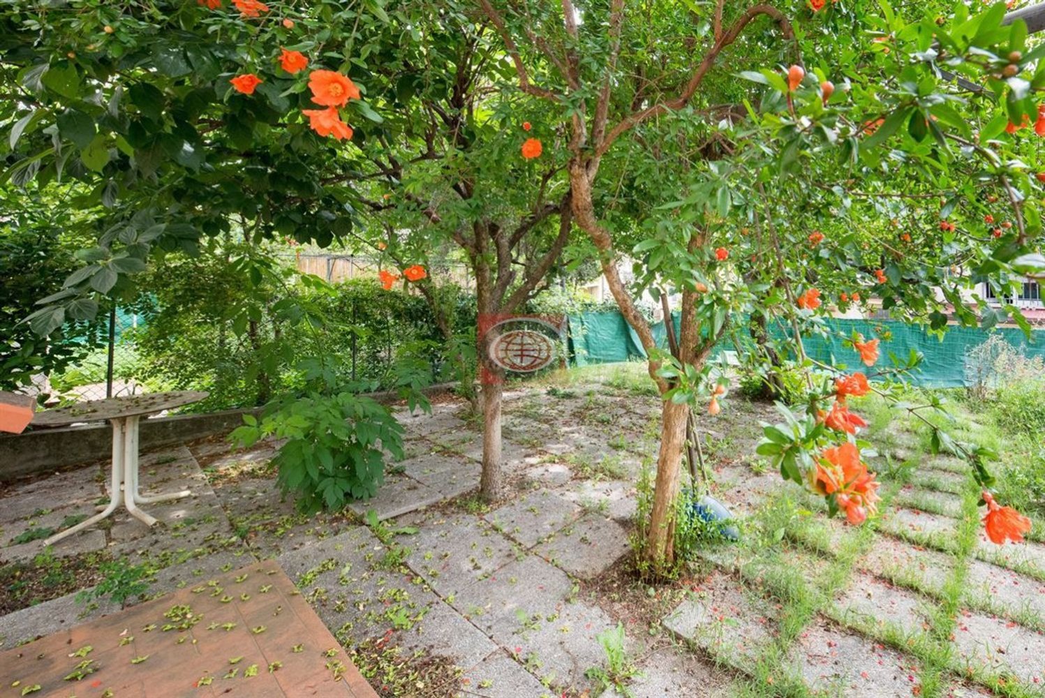 7-Zimmer Haus in Cesena, Italy, Nr. 111943