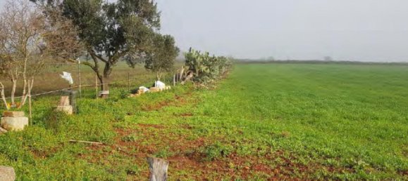 1 room Land in Corigliano d'Otranto, Italy No. 124948 2