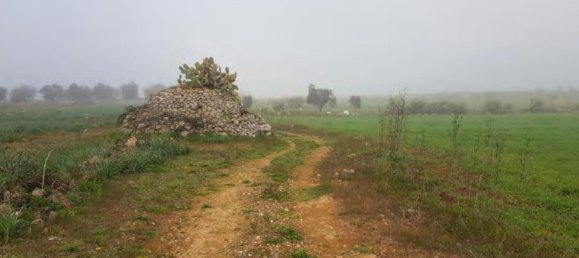1 room Land in Corigliano d'Otranto, Italy No. 124948 6