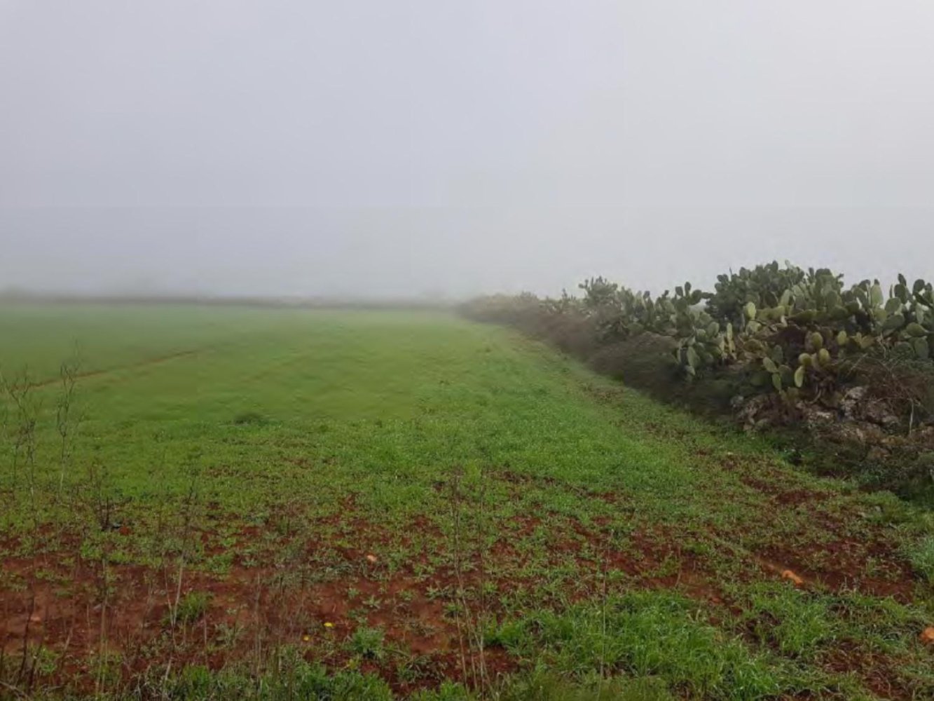 1 room Land in Corigliano d'Otranto, Italy No. 124948