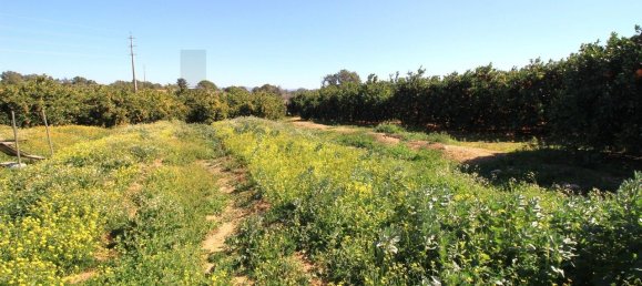 2 غرف نوم منزل في Silves, Portugal رقم 118458 34