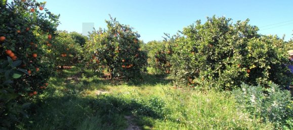 2 غرف نوم منزل في Silves, Portugal رقم 118458 36