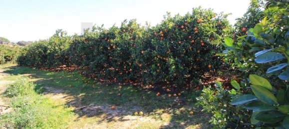 2 غرف نوم منزل في Silves, Portugal رقم 118458 33