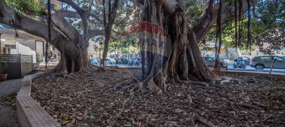 Коммерческая недвижимость 80м² в Сиракузы, Италия № 246466 11