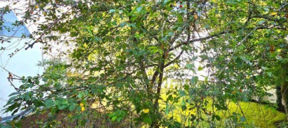 3-salle Appartement à Wahring, Austria No. 238115 24