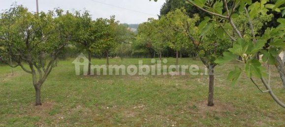 Дом с 3 спальнями в Апиро, Италия № 212431 6