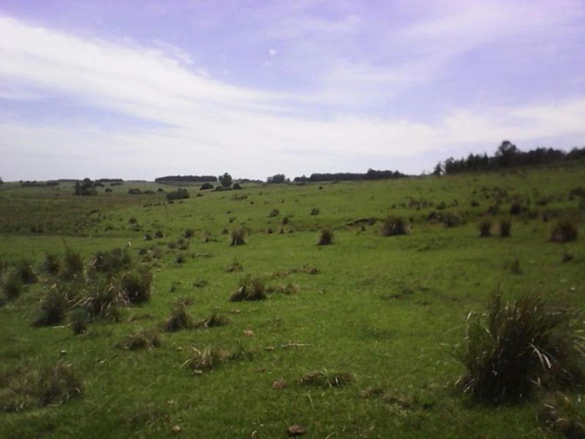  Land in Maldonado, Uruguay No. 14630