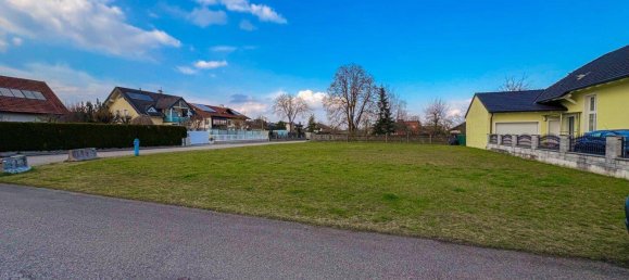  Land in Wels, Austria No. 219150 3