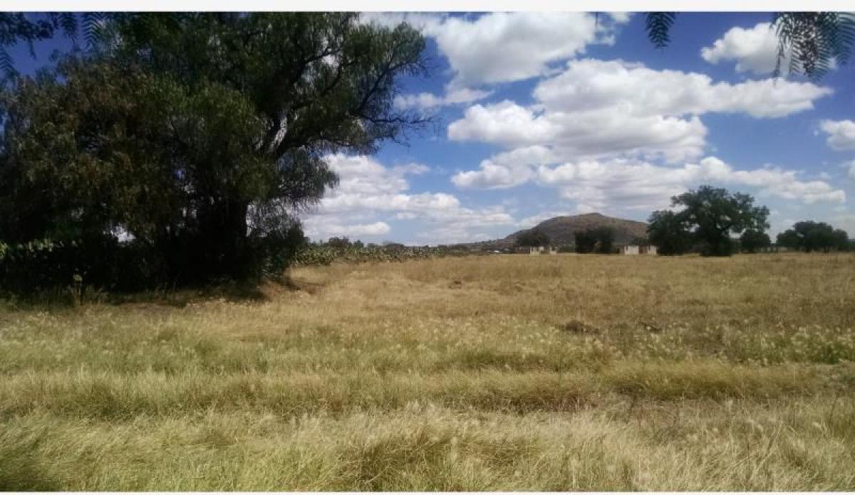 Grundstück in San Martin de las Piramides, Mexico, Nr. 204806