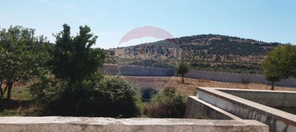 5 chambres Maison à Monforte, Portugal No. 20978 14