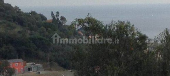 8 bedrooms Villa in Celle Ligure, Italy No. 93618 3