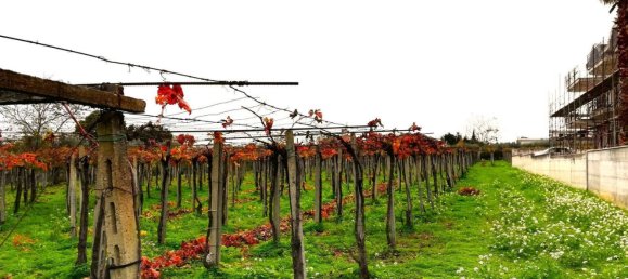 5600m² Land in Vasto, Italy No. 140384 10