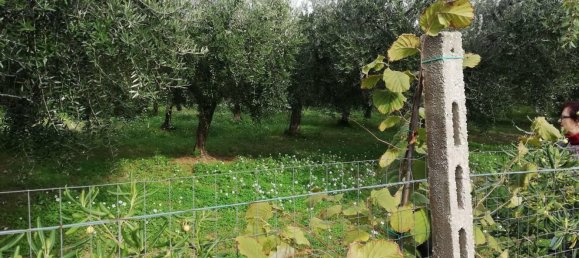 5600m² Land in Vasto, Italy No. 140384 11