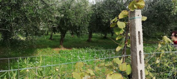 5600m² Land in Vasto, Italy No. 140384 15