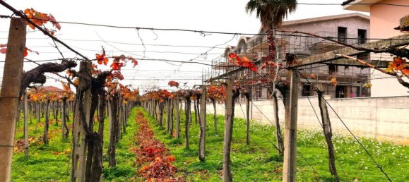 5600m² Land in Vasto, Italy No. 140384 3