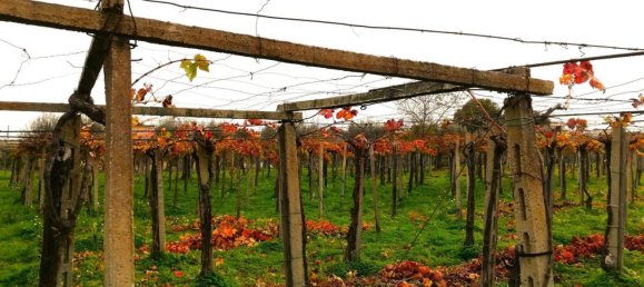 5600m² Land in Vasto, Italy No. 140384 13