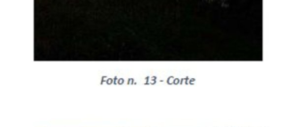 Apartamento de 7 divisões em Nicosia, Italy N.º 49069 12