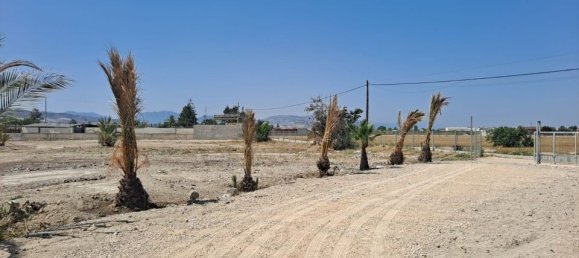 5 bedrooms House in Alicante, Spain No. 185189 38