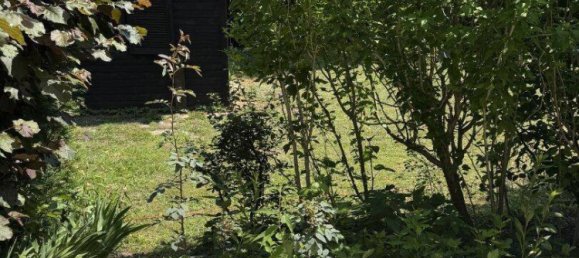 3 rooms House in Korneuburg, Austria No. 211303 16